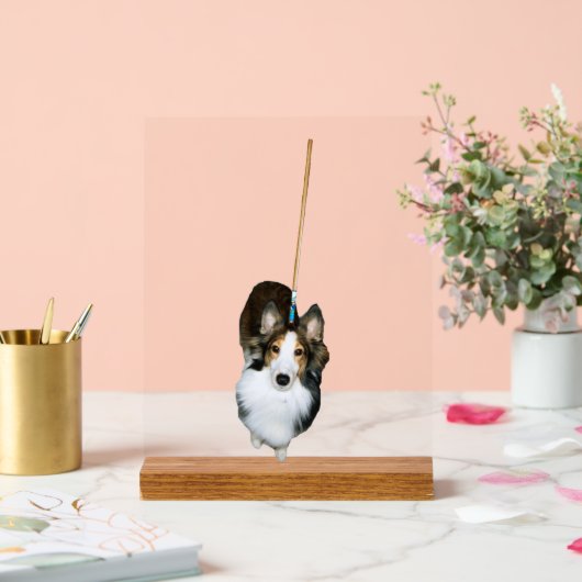 Chien à la broche (Mariage)