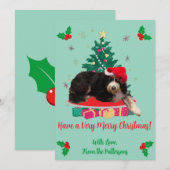 Chien à Santa Hat & Xmas Tree carte de vacances pl (Devant / Derrière)