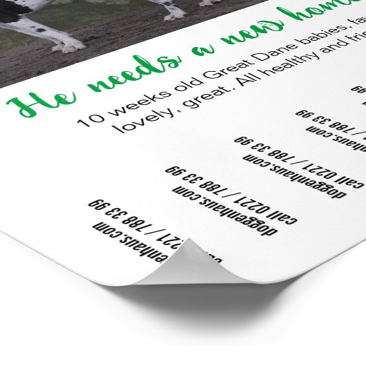 Chien à vendre poster modèle (Coin)