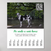 Chien à vendre poster modèle (Devant)