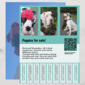 chien à vendre prospectus modèle (Devant / Derrière)