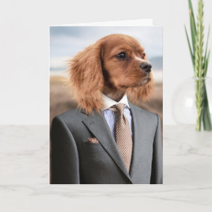 CHIEN AFFAIRES SUIT FUNNY CARTE D'ANNIVERSAIRE POU