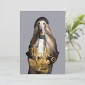 Chien afghan cheveux blonds Merci pantalon (Debout devant)