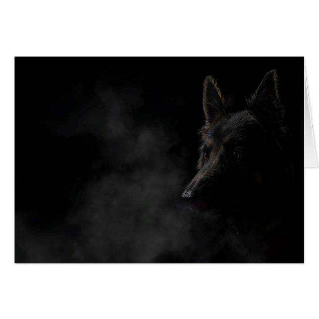 Chien allemand (Devant horizontal)