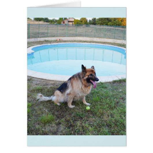 Chien ange assis avec balle (Devant)