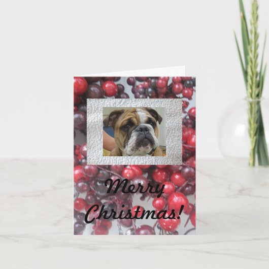Chien anglais Joyeuses cartes de Noël, mignonnes ! (Devant)