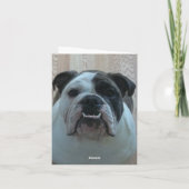 Chien anglais joyeux cartes de Noël (Dos)