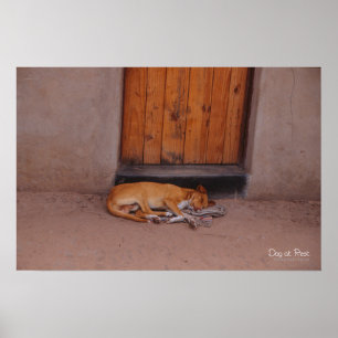 Chien au repos Imprimer et poster