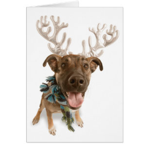Chien avec bois