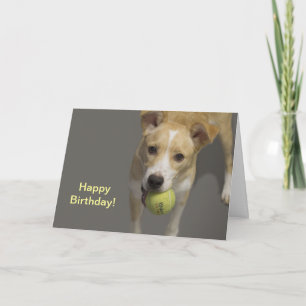 Chien Avec Tennis Ball Carte Anniversaire