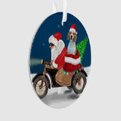 Chien beagle Noël Père Noël (devant)