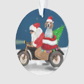 Chien beagle Noël Père Noël (devant)