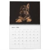 Chien berger allemand calendrier 2021. (Mar 2026)