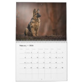 Chien berger allemand calendrier 2021. (Feb 2026)