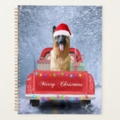 Chien berger allemand en neige assis à Noël (Devant)