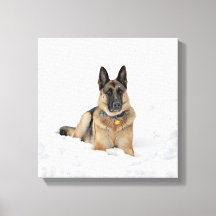 Chien berger allemand en toile de neige imprimé