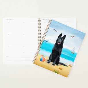 Chien berger allemand noir sur la plage