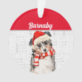 Chien berger australien avec nom et photo (devant)