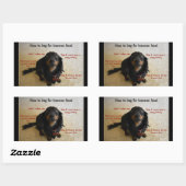 Chien Biscuit biscuit Traite Étiquette de jarre (Feuille)