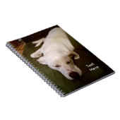 Chien Blanc Endormi Cahier Vert (Côté Droit)
