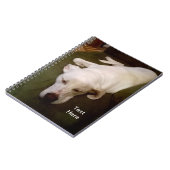 Chien Blanc Endormi Cahier Vert (Côté gauche)
