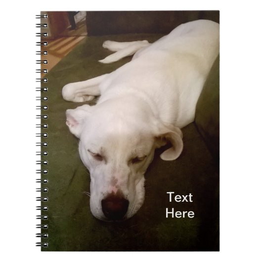 Chien Blanc Endormi Cahier Vert (Devant)