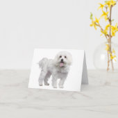 Chien blanc maltais Chien blanc Carte pour notes / (Fleur jaune)