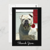 Chien blanc Merci avec carte postale rose (Devant / Derrière)