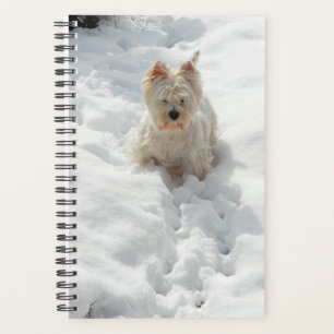 Chien blanc mignon dans le planificateur de neige