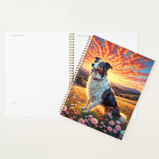 Chien Border Collie (Devant avec enveloppe)