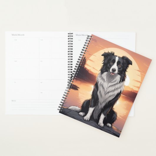 Chien Border Collie (Devant avec enveloppe)