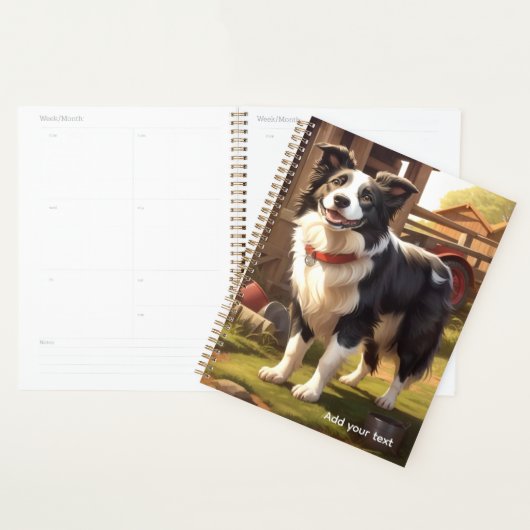 Chien Border Collie (Devant avec enveloppe)
