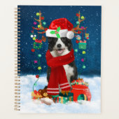 Chien Border Collie avec des cadeaux de Noël (Devant)