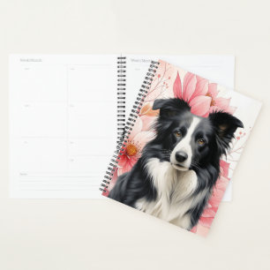 Chien Border Collie et lis roses gras