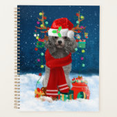 Chien caniche avec cadeaux de Noël (Devant)