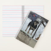 Chien carnet clôturé (À l'intérieur)
