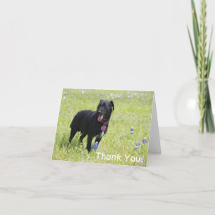 Chien Carte de remerciements