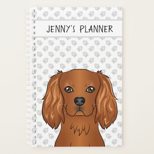 Chien Cavalier King Charles Spaniel Ruby & Titre (Devant)