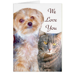 Chien & Chat,Amour_