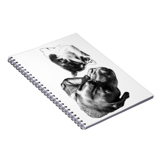 Chien & Chat Repose Ensemble Carnet Monochrome (Côté Droit)