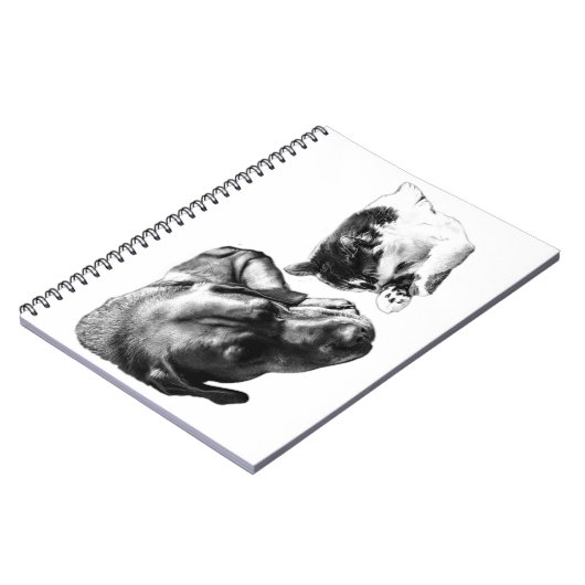 Chien & Chat Repose Ensemble Carnet Monochrome (Côté gauche)