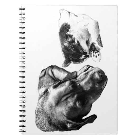 Chien & Chat Repose Ensemble Carnet Monochrome (Devant)