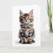 Chien Chaton Maine Coon à Poils Longs Fluffy Carte (Devant)