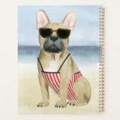 Chien chaud | Chiot En Lunettes De Soleil À La Pla (Dos)