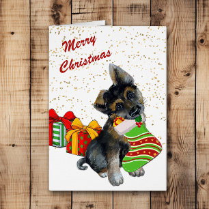 Chien chevalier allemand mignon et empilage