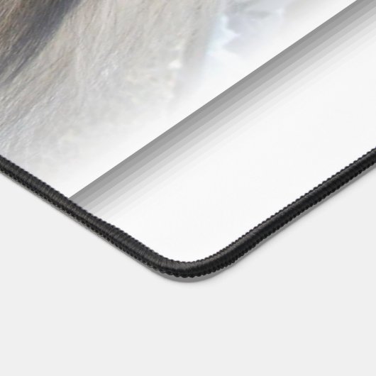 Chien Chien Chien Chien Chien Chien De Bureau Lass (Coin)