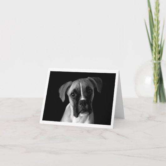 Chien Chien Chien Chien Chien Noir Et Blanc Carte  (Devant)