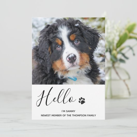 Chien Chien Chip Nouveau Faire-part animal (Debout devant)