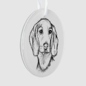 Chien-chien dragon (devant)