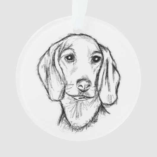 Chien-chien dragon (devant)